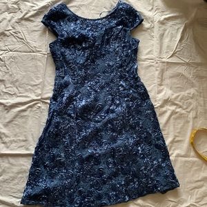 Alex Evenings Special Occasion Dress size 14 P